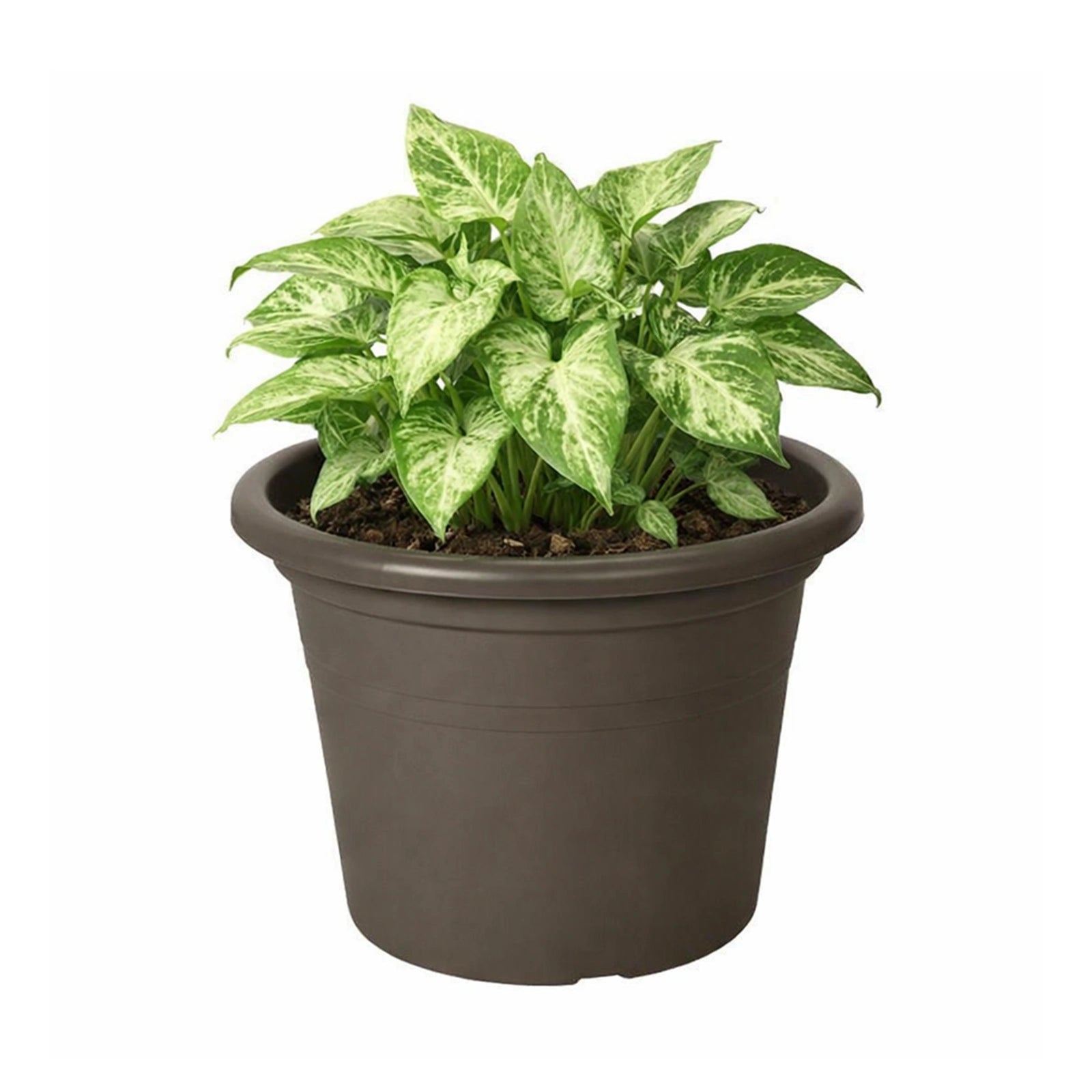 Respect Brown 30cm Cylinda Planter