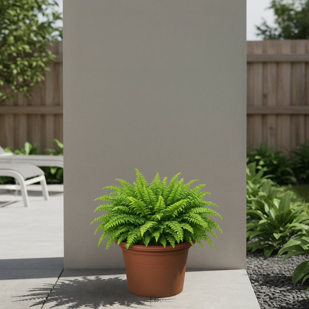 Respect Brown 30cm Lightweight Plastic Terracotta Cylindrical Planter
