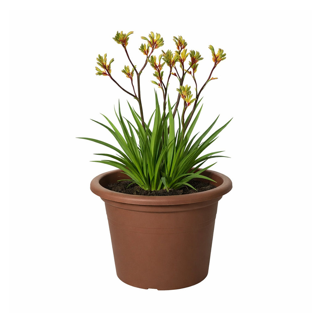 Respect Brown 30cm Lightweight Plastic Terracotta Cylindrical Planter