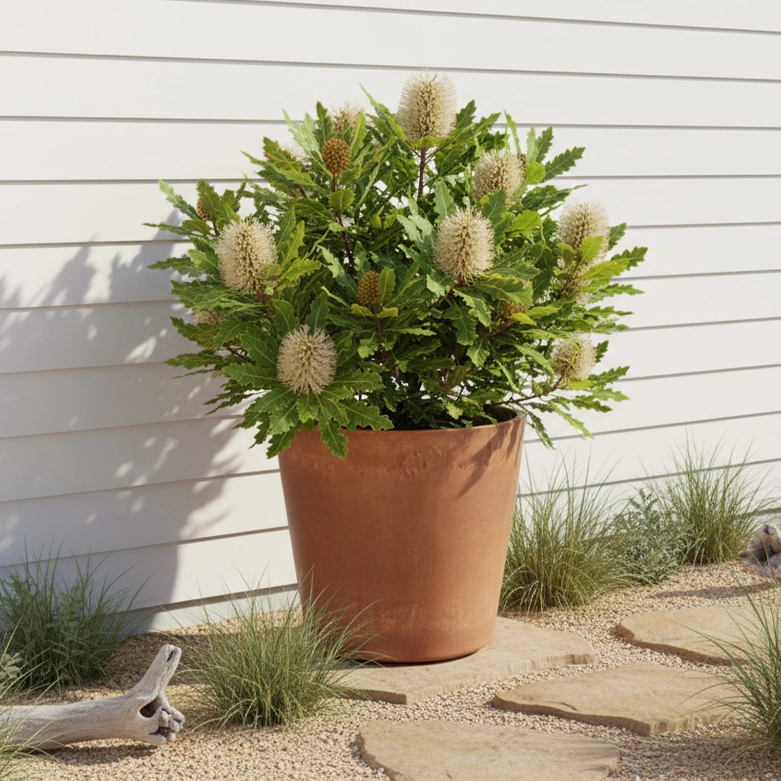Respect Brown 30cm Terracotta Green Earth Lightweight Plastic Tapered Cylinder Planter