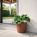 Respect Brown 30cm Terracotta Repot Self Watering Planter – large terracotta-look self watering repot pot for indoor gardens