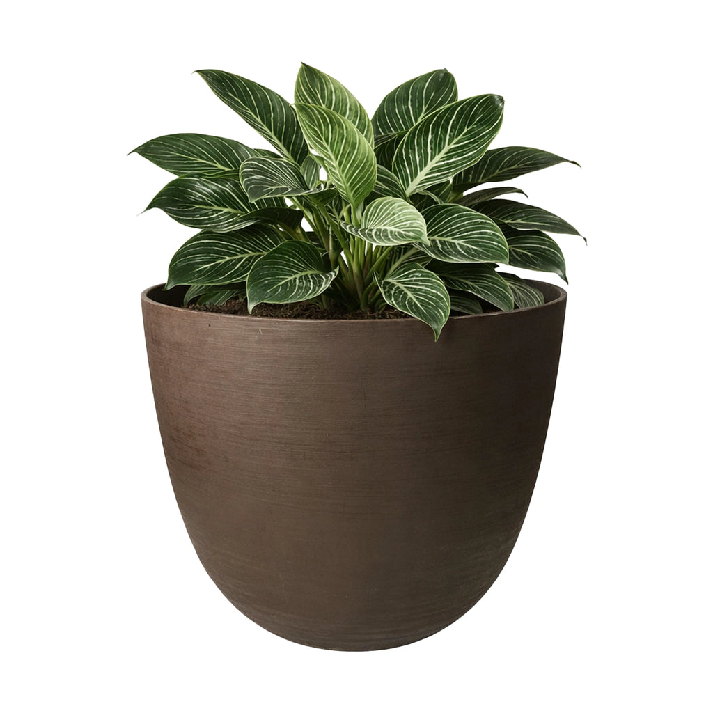Respect Brown 38cm Milano Self Watering Planter – terracotta-look self watering window box for balcony and patio plants