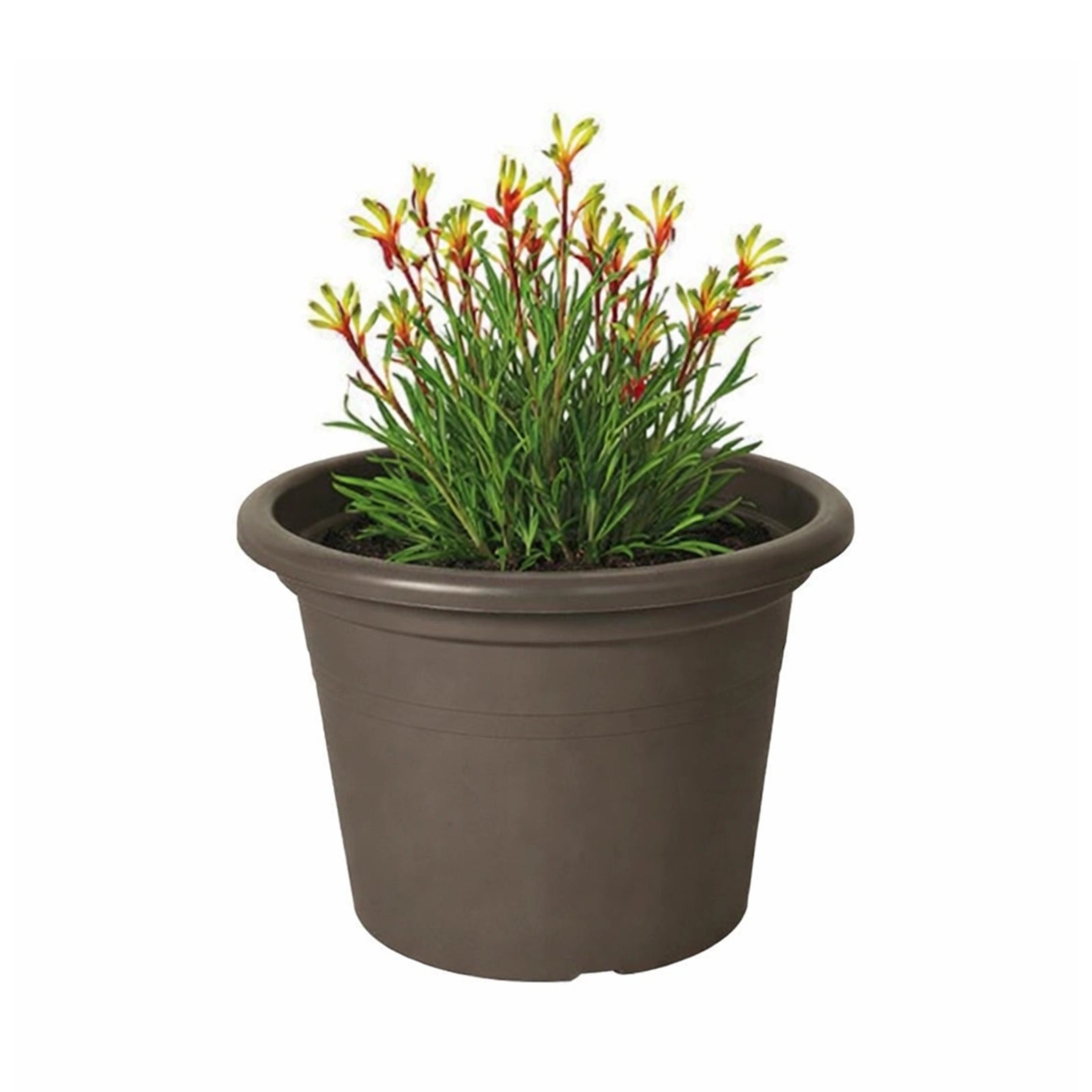 Respect Brown 40cm Cylinda Planter