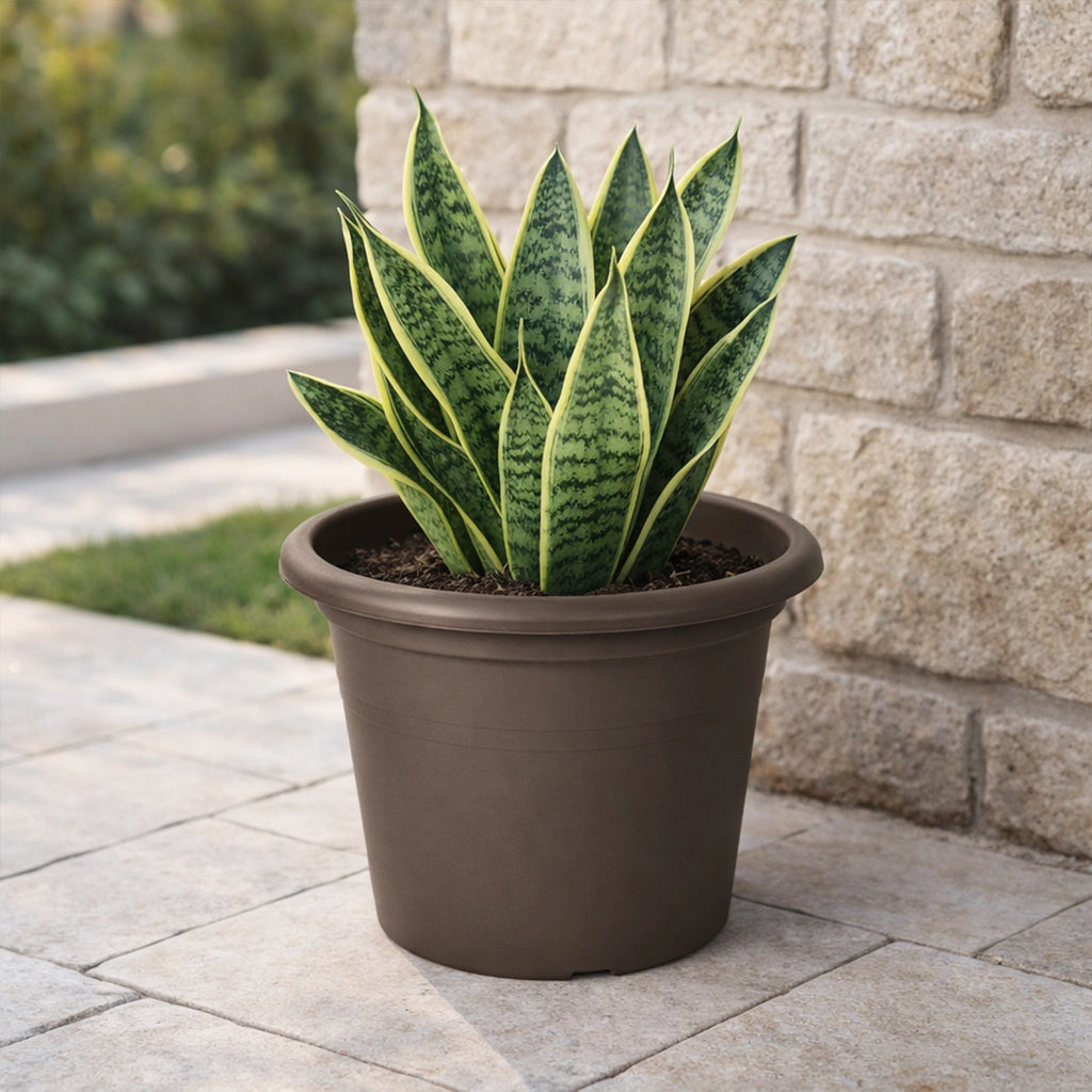 Respect Brown 40cm Cylinda Planter – large brown cylinder plastic garden planter for patio and outdoor spaces