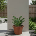 Respect Brown 40cm Lightweight Plastic Terracotta Cylindrical Planter