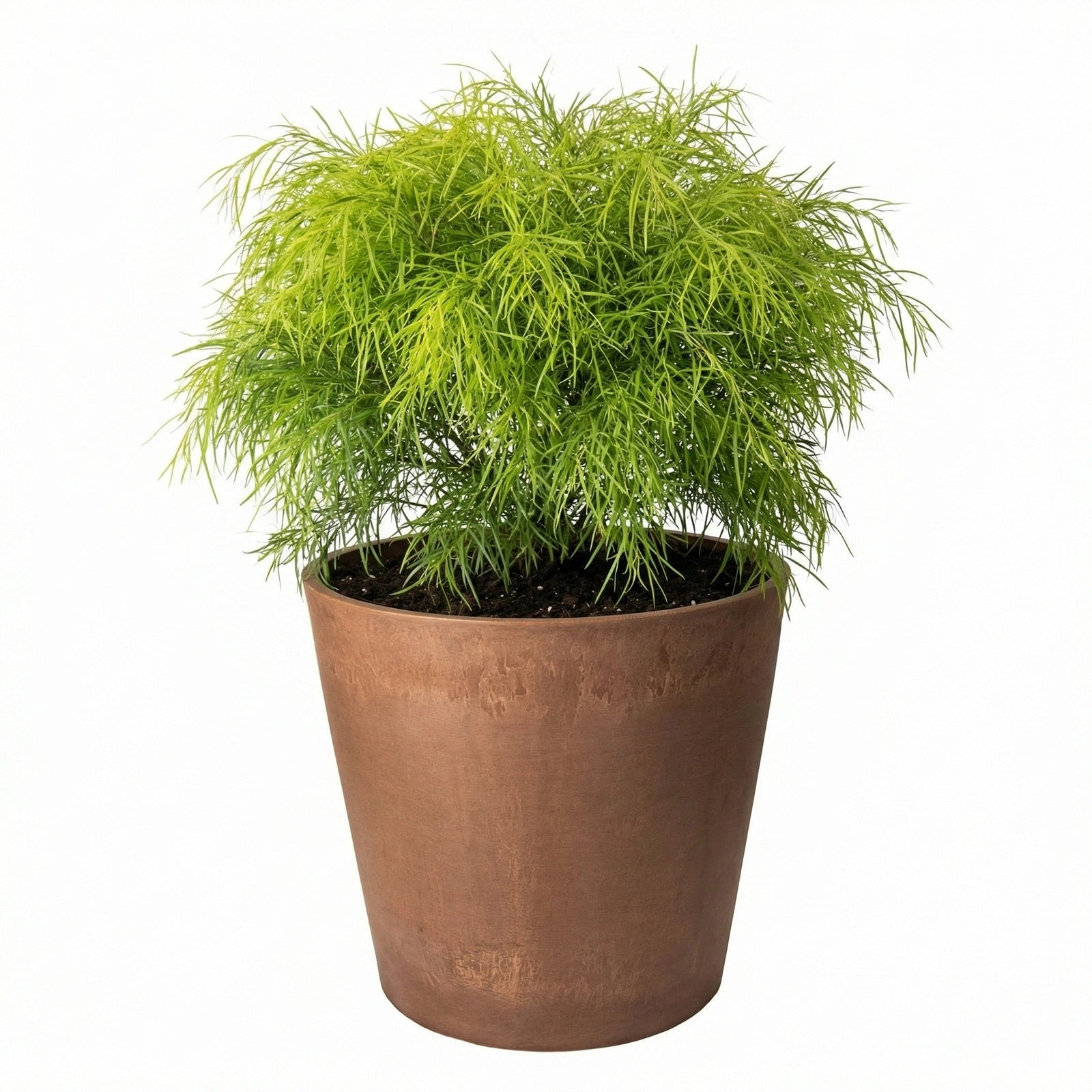 Respect Brown 40cm Terracotta Green Earth Lightweight Plastic Tapered Cylinder Planter