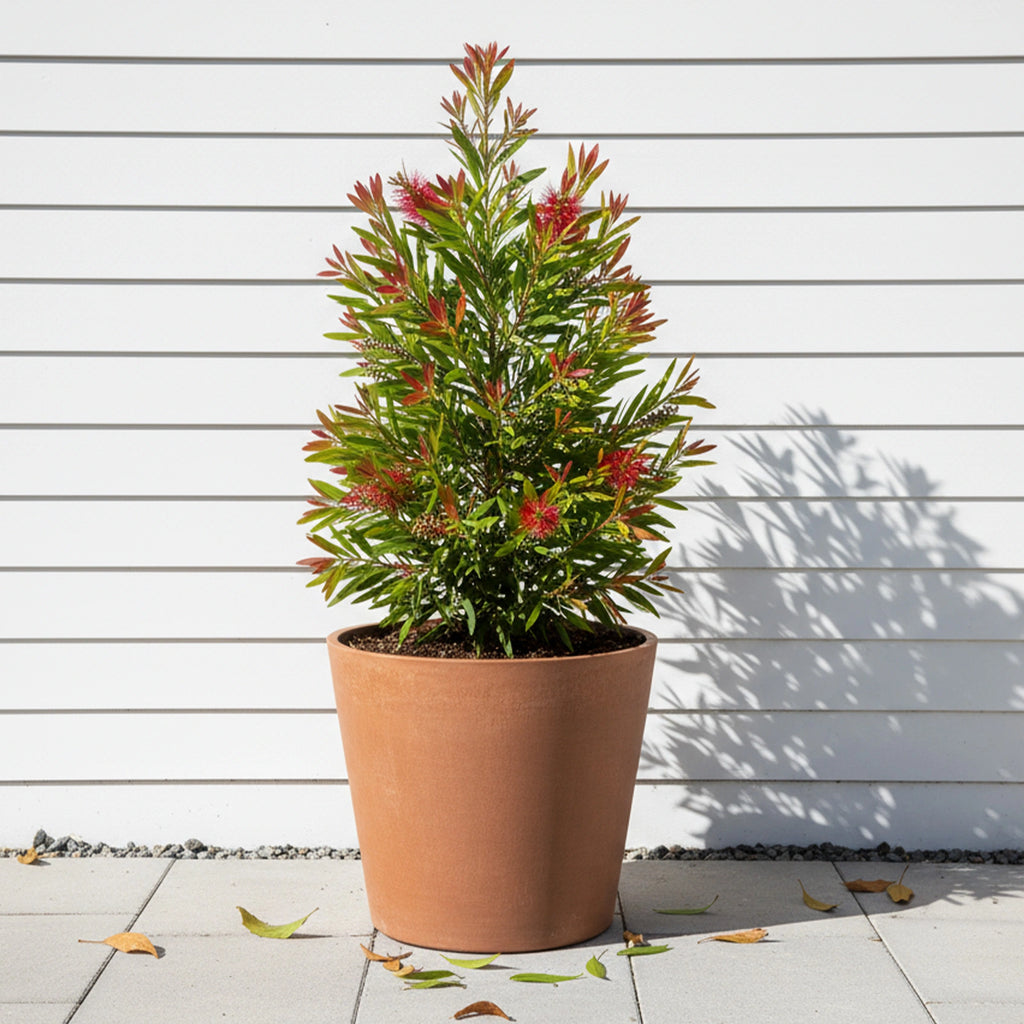 Respect Brown 40cm Terracotta Green Earth Lightweight Tapered Cylinder Planter – large eco terracotta-look tapered cylinder outdoor planter
