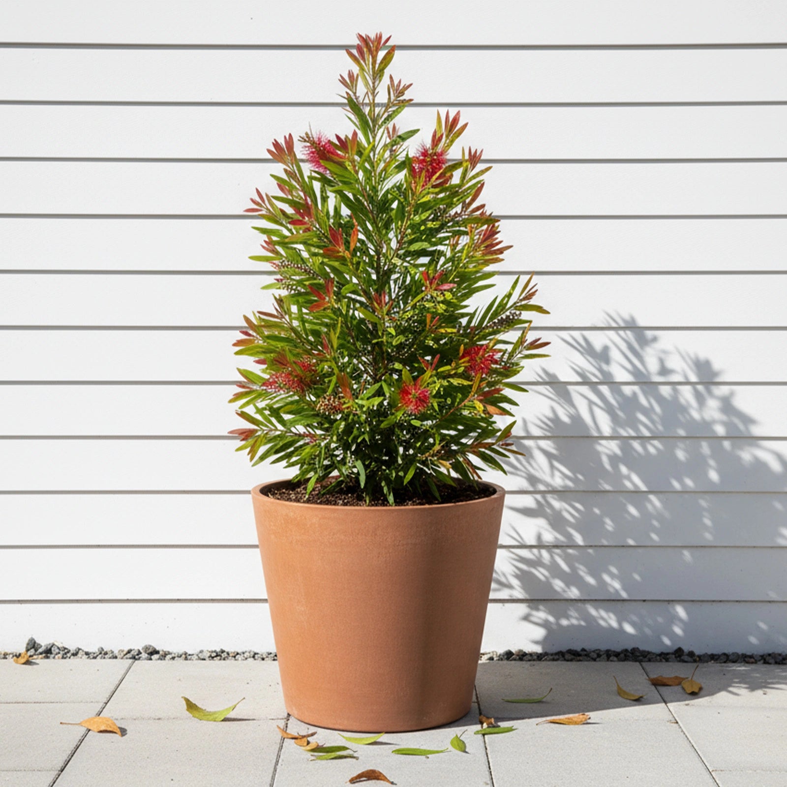 Respect Brown 40cm Terracotta Green Earth Lightweight Plastic Tapered Cylinder Planter