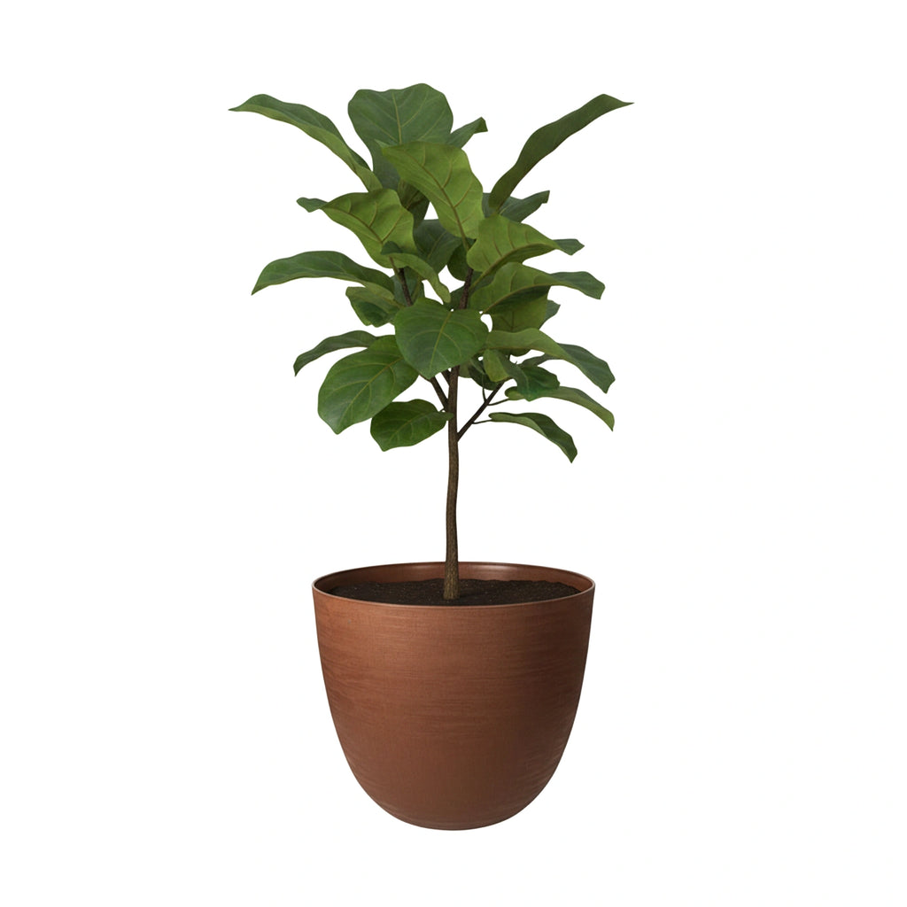 Respect Brown 48cm Terracotta Milano Self Watering Planter – large lightweight terracotta-look self watering outdoor planter