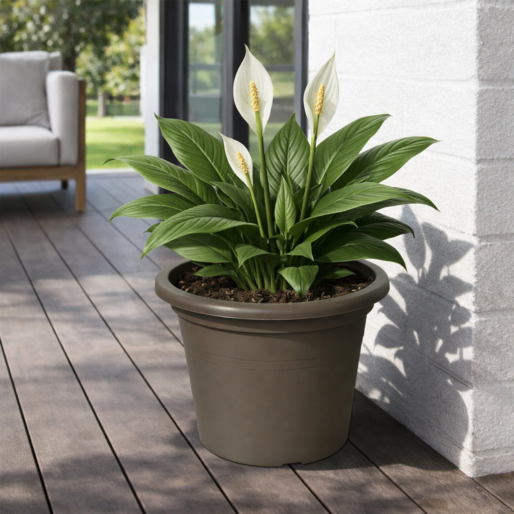 Respect Brown 50cm Cylinda Planter – extra large brown plastic cylinder planter for outdoor gardens and patios