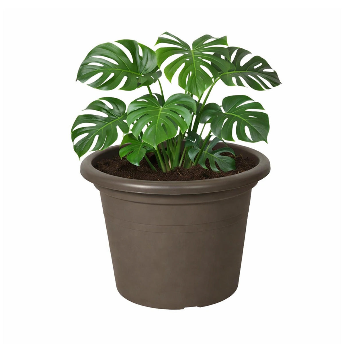 Respect Brown 50cm Cylinda Planter – extra large brown plastic cylinder planter for outdoor gardens and patios