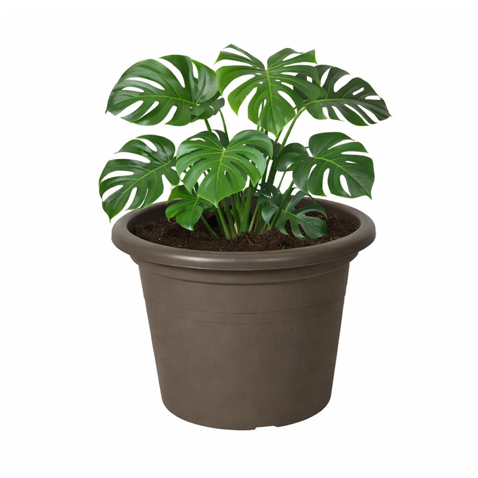 Respect Brown 50cm Cylinda Planter