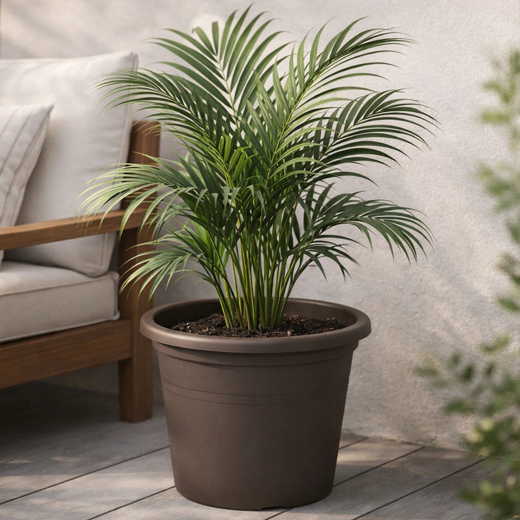 Respect Brown 50cm Cylinda Planter – extra large brown plastic cylinder planter for outdoor gardens and patios