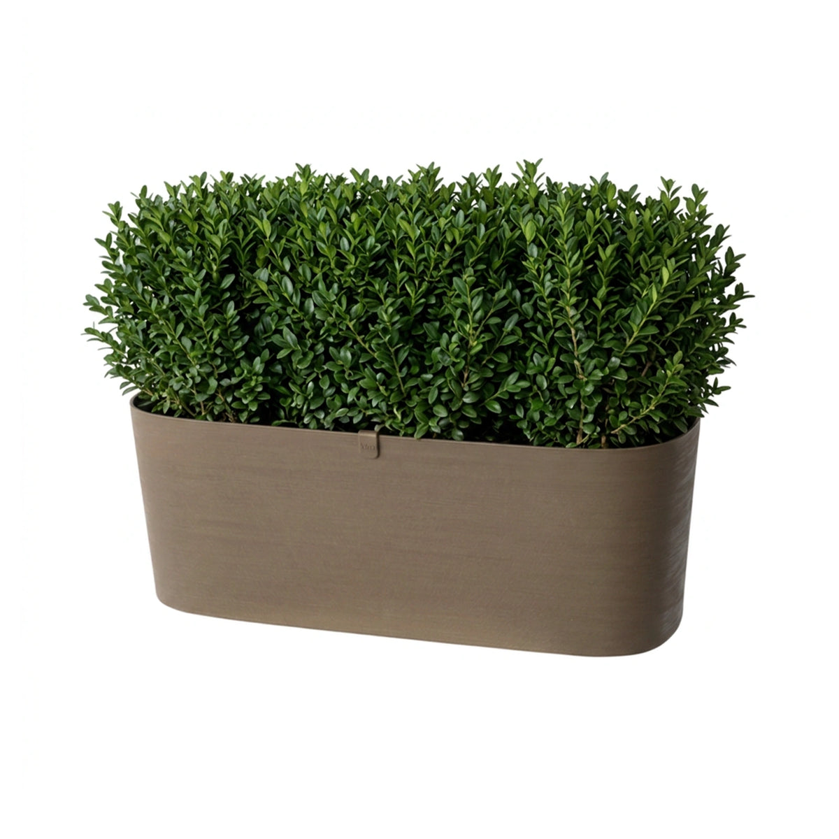 Respect Brown 50cm Lightweight Plastic Florence Trough – Brown plastic trough planter for outdoor planting