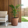 Respect Brown 50cm Terracotta Green Earth Lightweight Tapered Cylinder Planter – extra large eco terracotta tapered cylinder outdoor planter