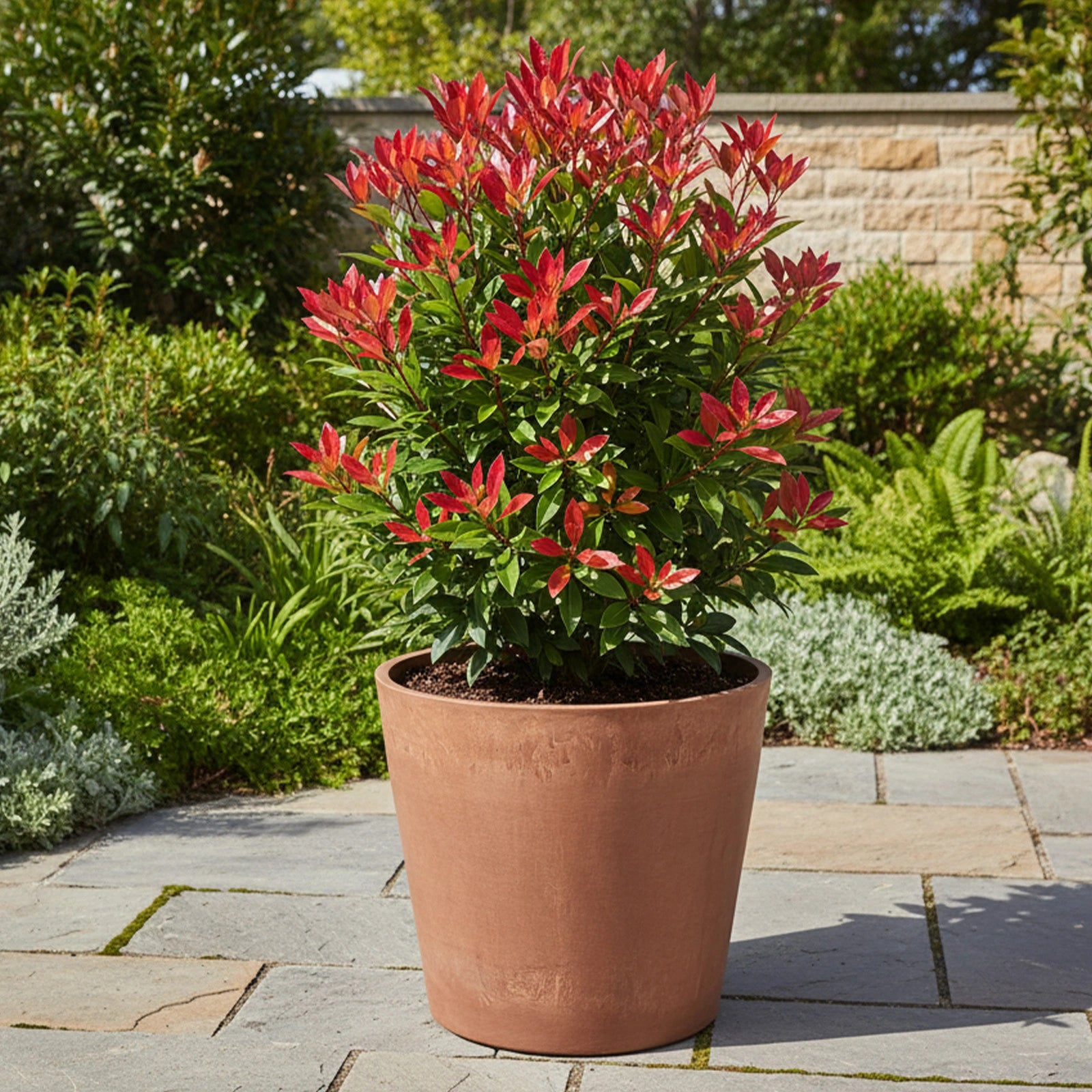 Respect Brown 50cm Terracotta Green Earth Lightweight Plastic Tapered Cylinder Planter
