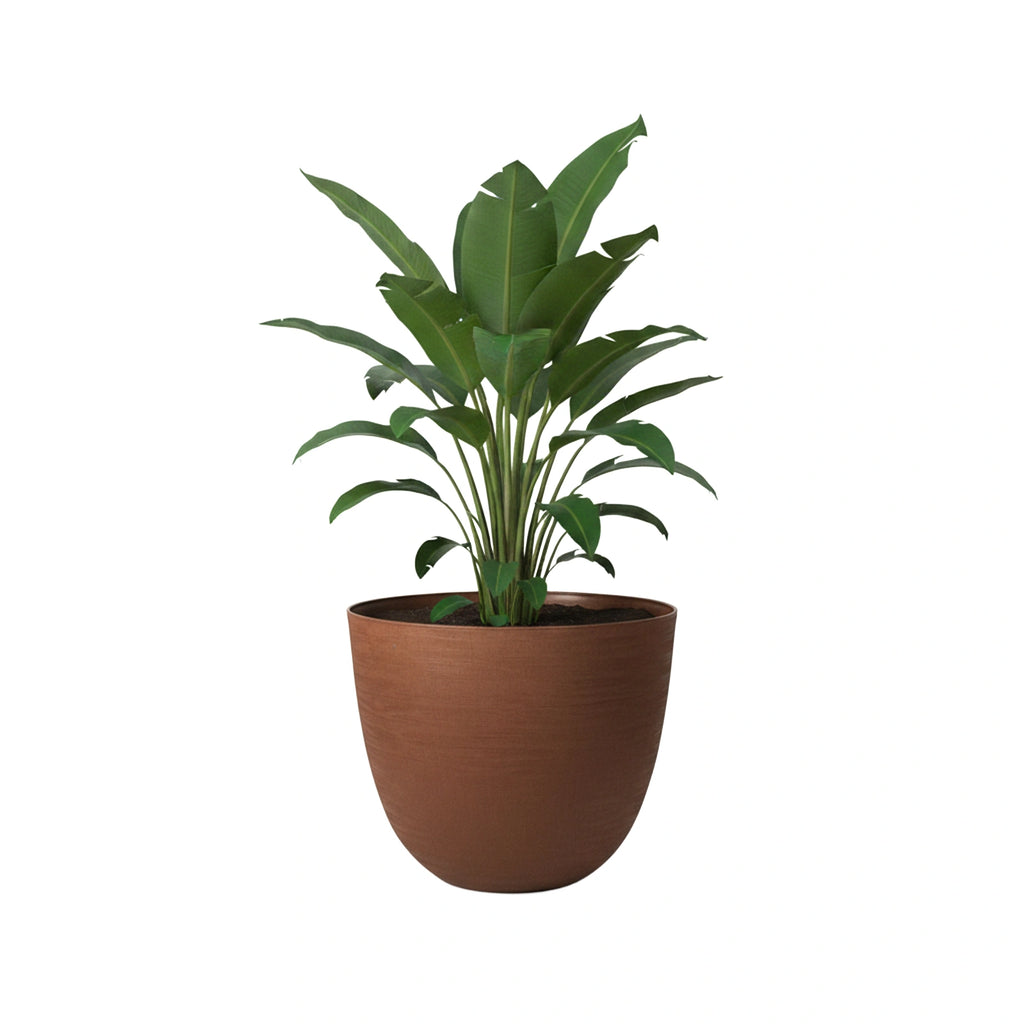 Respect Brown 58cm Terracotta Milano Self Watering Planter – extra large terracotta-look lightweight self watering planter