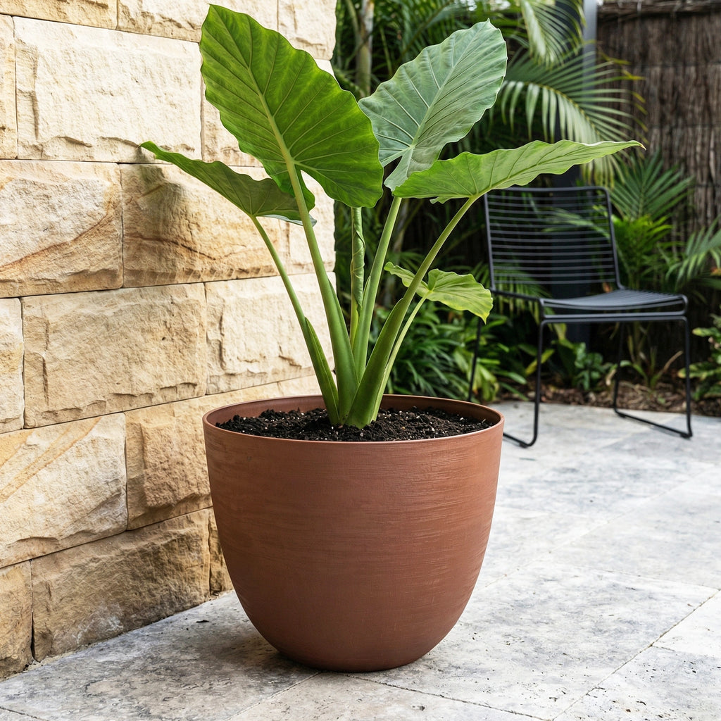 Respect Brown 58cm Terracotta Milano Self Watering Planter – extra large terracotta-look lightweight self watering planter