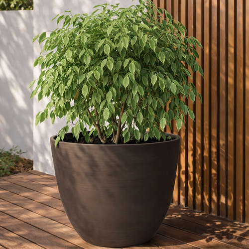 Respect Brown 58cm Milano Self Watering Planter – extra large brown self watering planter for outdoor garden displays
