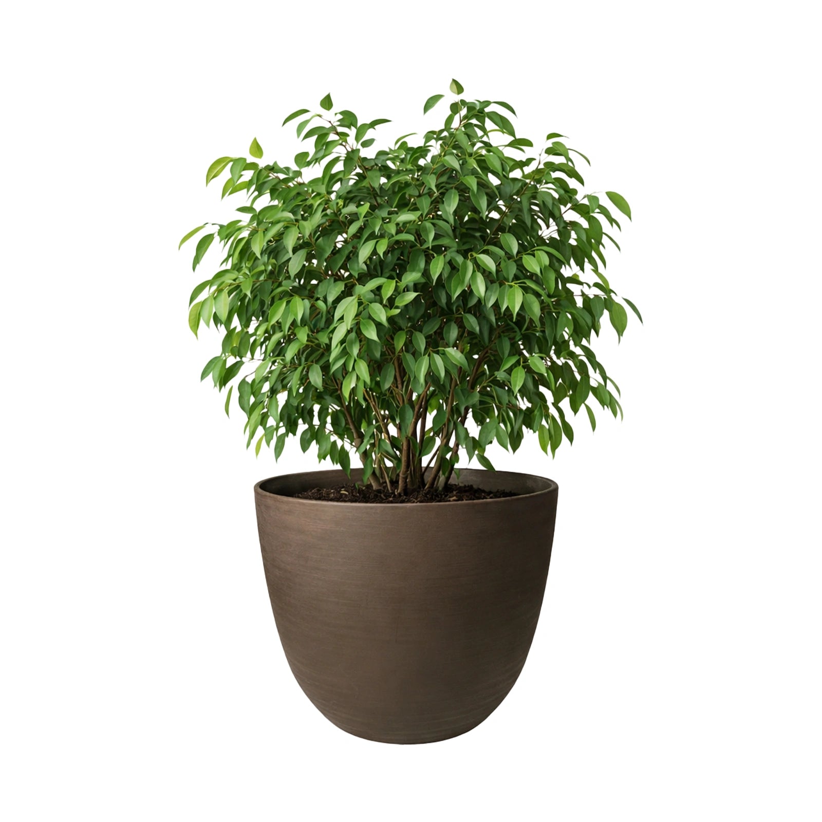 Respect Brown 58cm Milano Self-Watering Planter