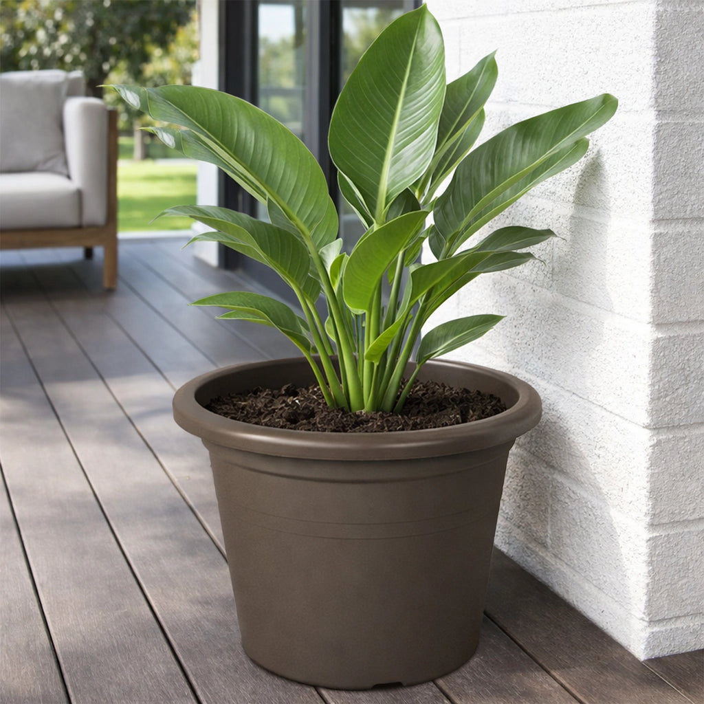 Respect Brown 60cm Cylinda Planter – jumbo brown plastic cylinder outdoor planter for feature garden displays
