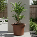 Respect Brown 60cm Lightweight Plastic Terracotta Cylindrical Planter