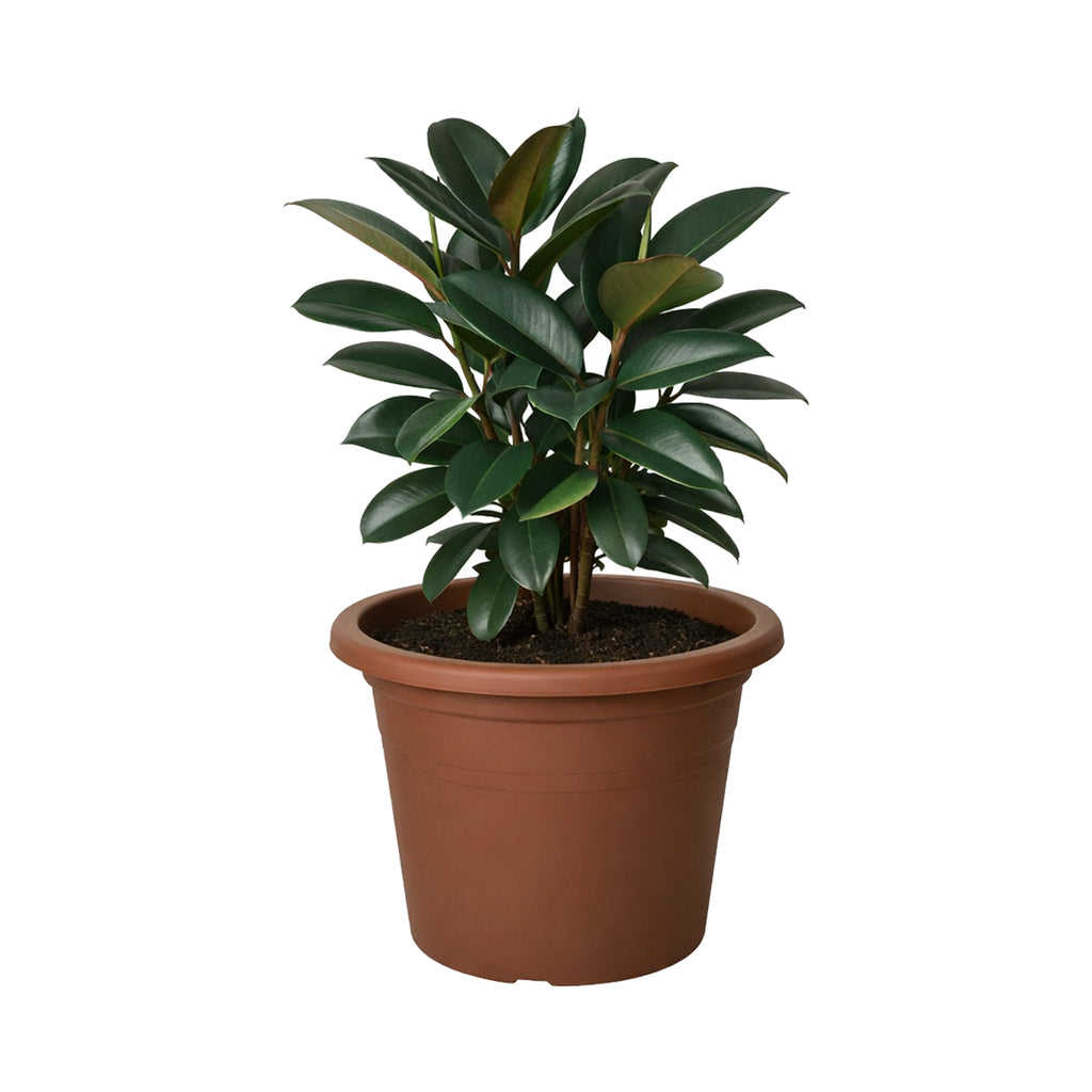 Respect Brown 60cm Lightweight Plastic Terracotta Cylindrical Planter