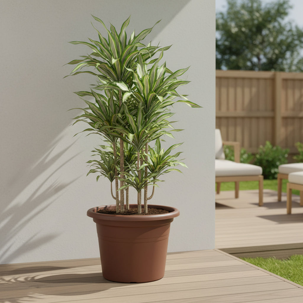 Respect Brown 60cm Lightweight Plastic Terracotta Cylindrical Planter