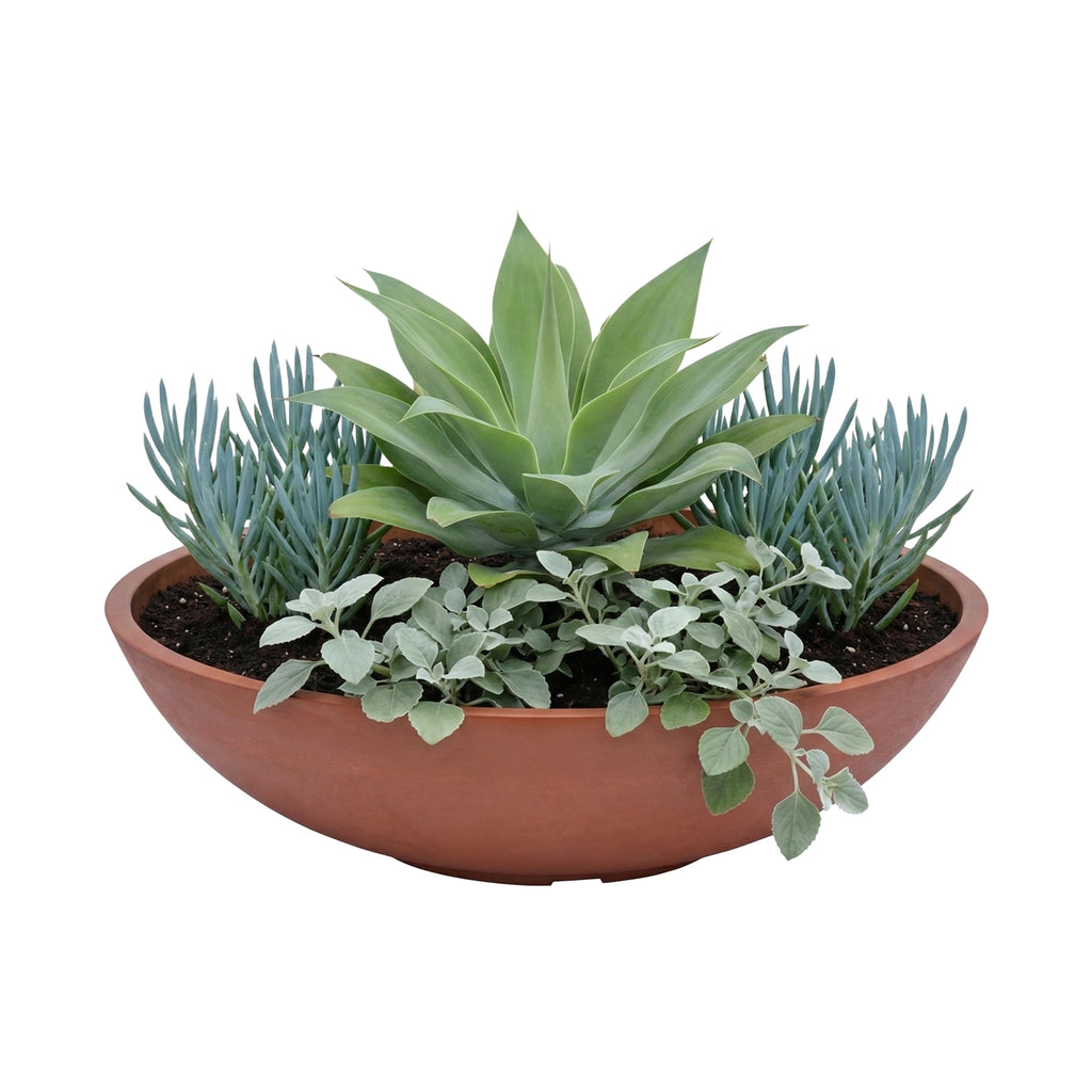 Respect Brown 60cm Terracotta Green Earth Lightweight Tapered Low Bowl Planter – large eco terracotta tapered low bowl outdoor planter