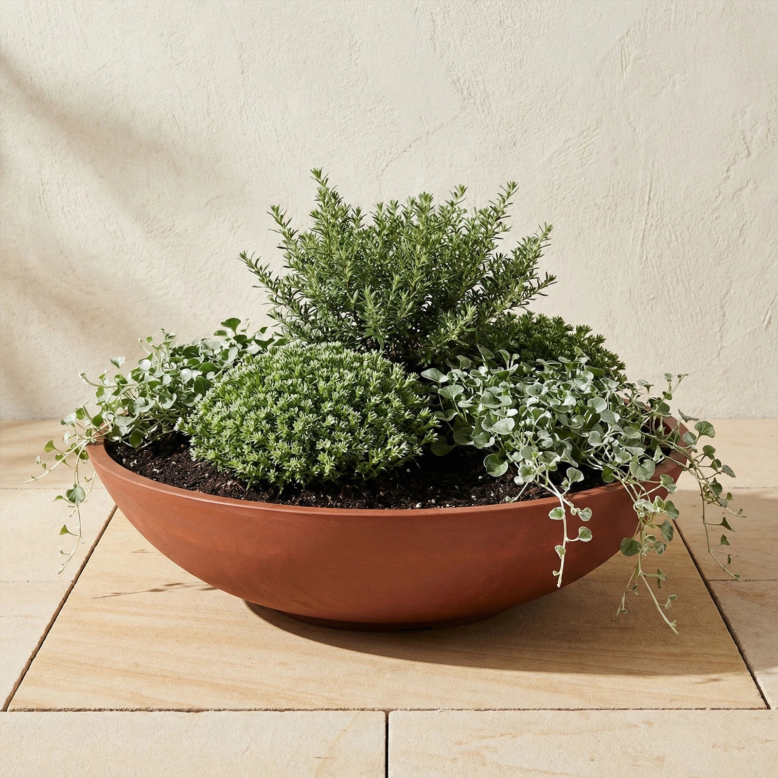 Respect Brown 60cm Terracotta Green Earth Lightweight Plastic Tapered Low Bowl Planter