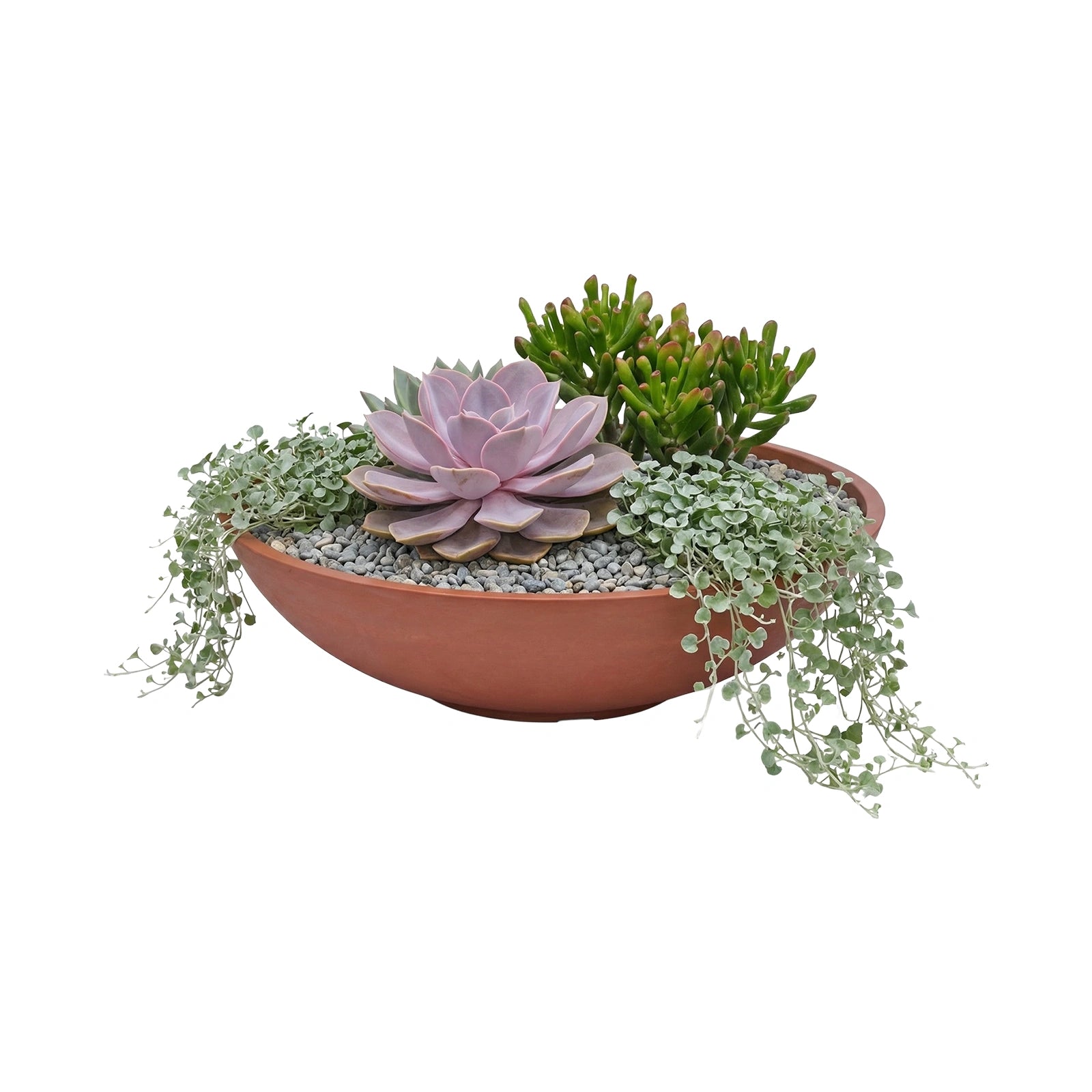 Respect Brown 70cm Terracotta Green Earth Lightweight Plastic Tapered Low Bowl Planter