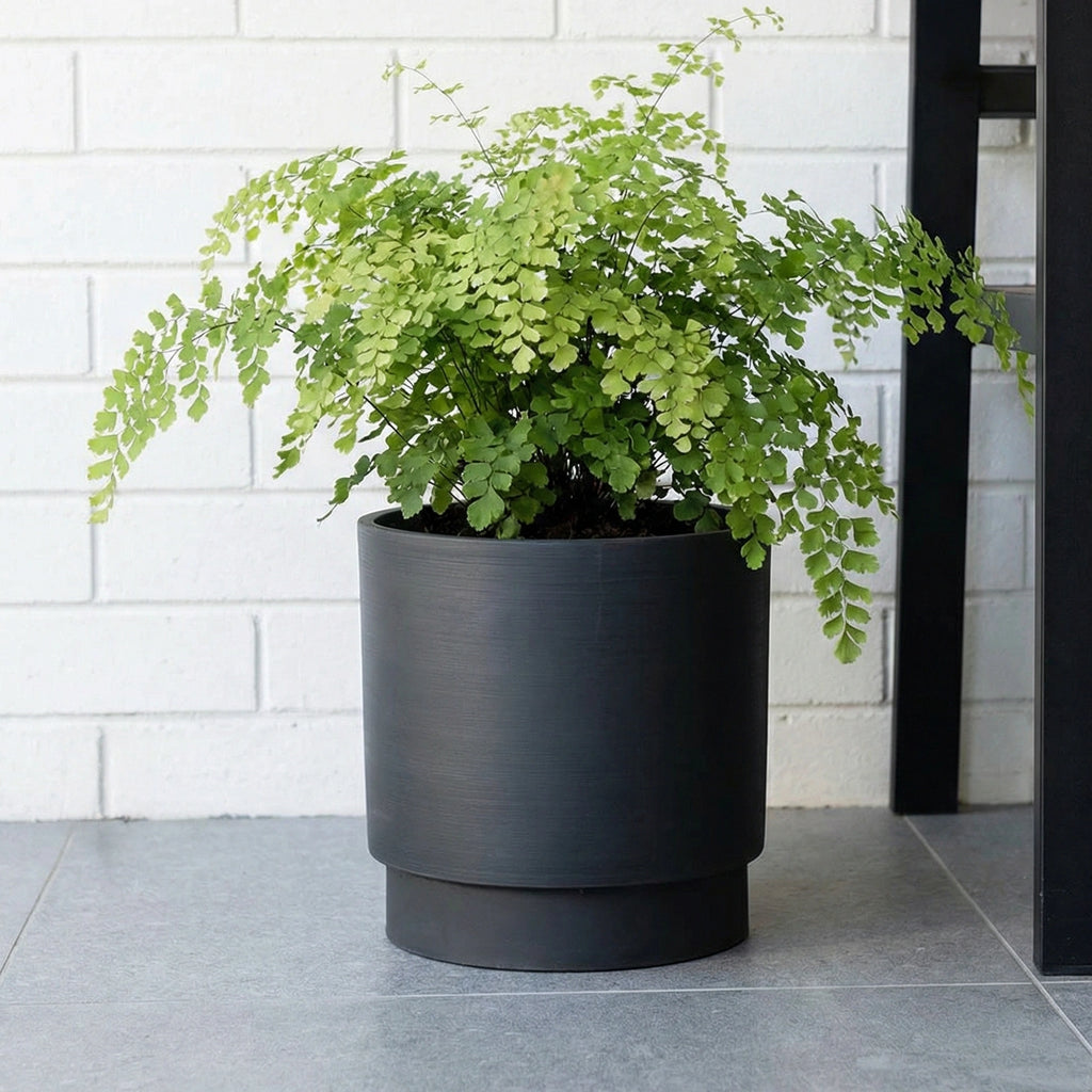 Respect Charcoal 18cm Cirque Cylinder Planter – modern charcoal cylinder pot for indoor and outdoor plants