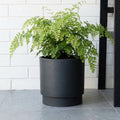 Respect Charcoal 18cm Cirque Cylinder Planter – modern charcoal cylinder pot for indoor and outdoor plants