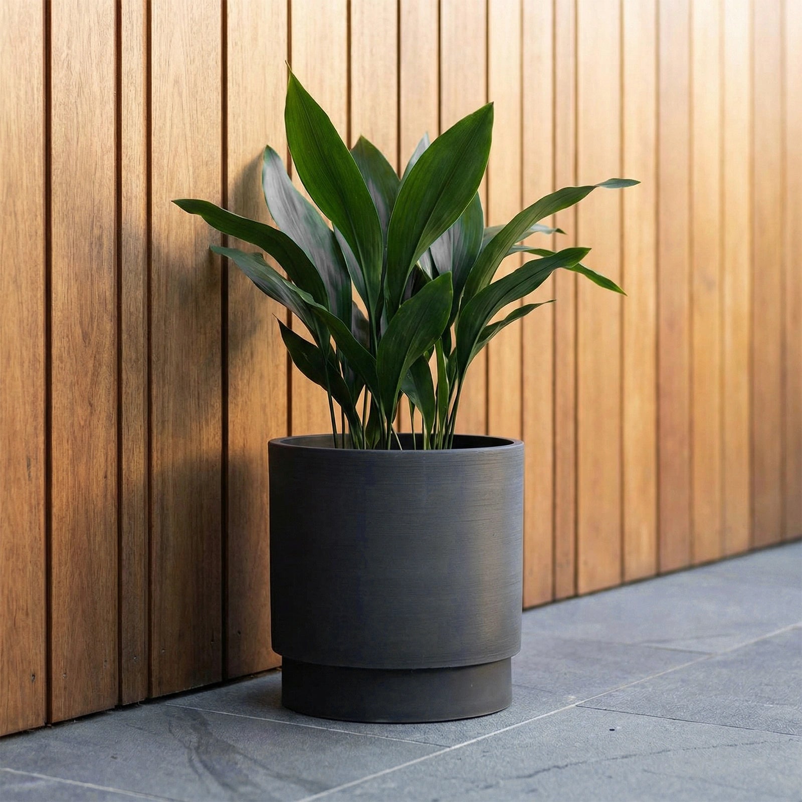 Respect Charcoal 18cm Cirque Cylinder Planter