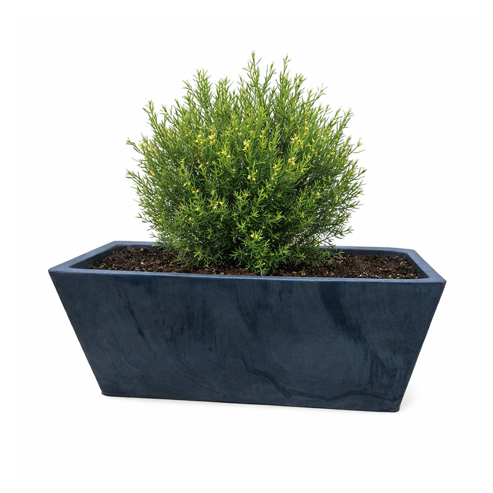 Respect Charcoal 25cm Green Earth Trough Planter