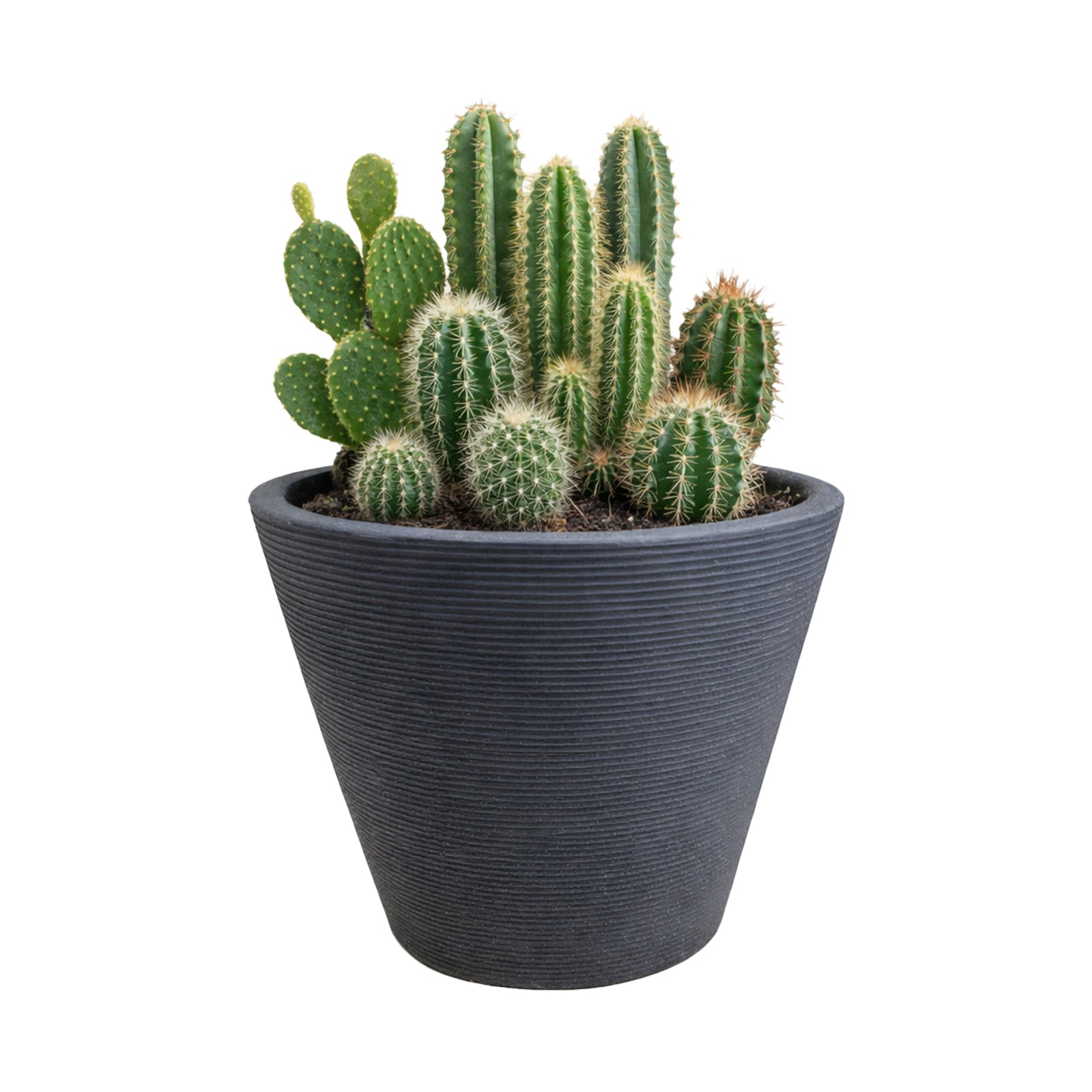 Respect Charcoal 30cm Green Earth Planter