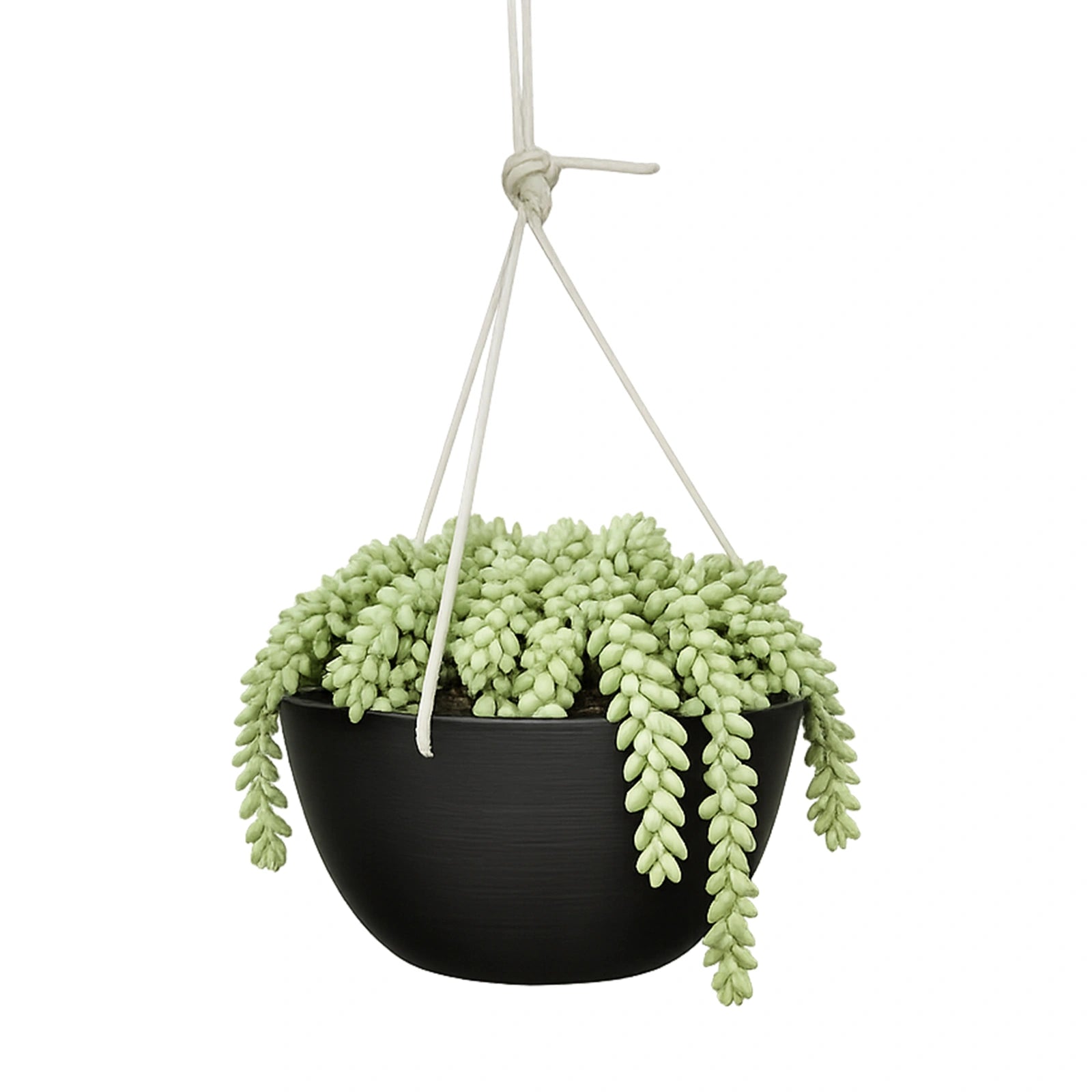 Respect Charcoal 31cm Green Earth Hanging Planter