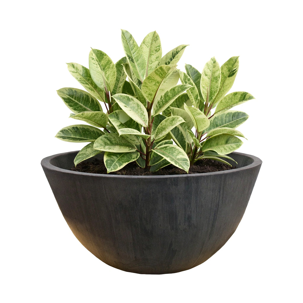 Respect Charcoal 31cm Green Earth Low Bowl Planter – eco recycled charcoal plastic low bowl planter for outdoor gardens