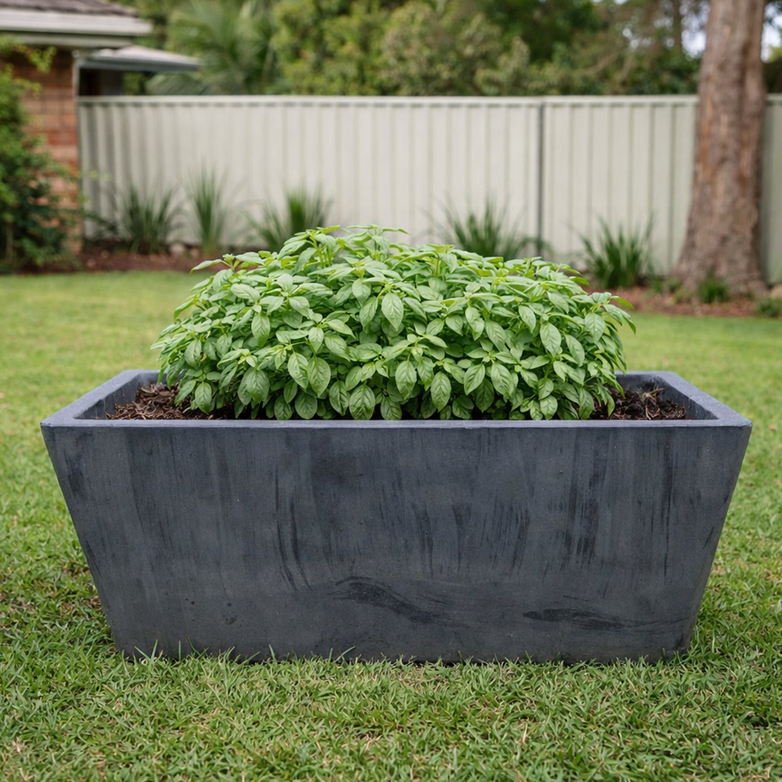 Respect Charcoal 35cm Green Earth Trough Planter