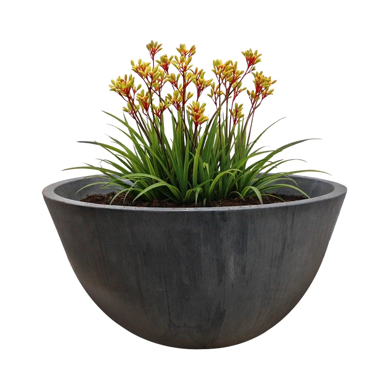 Respect Charcoal 41cm Green Earth Low Bowl Planter