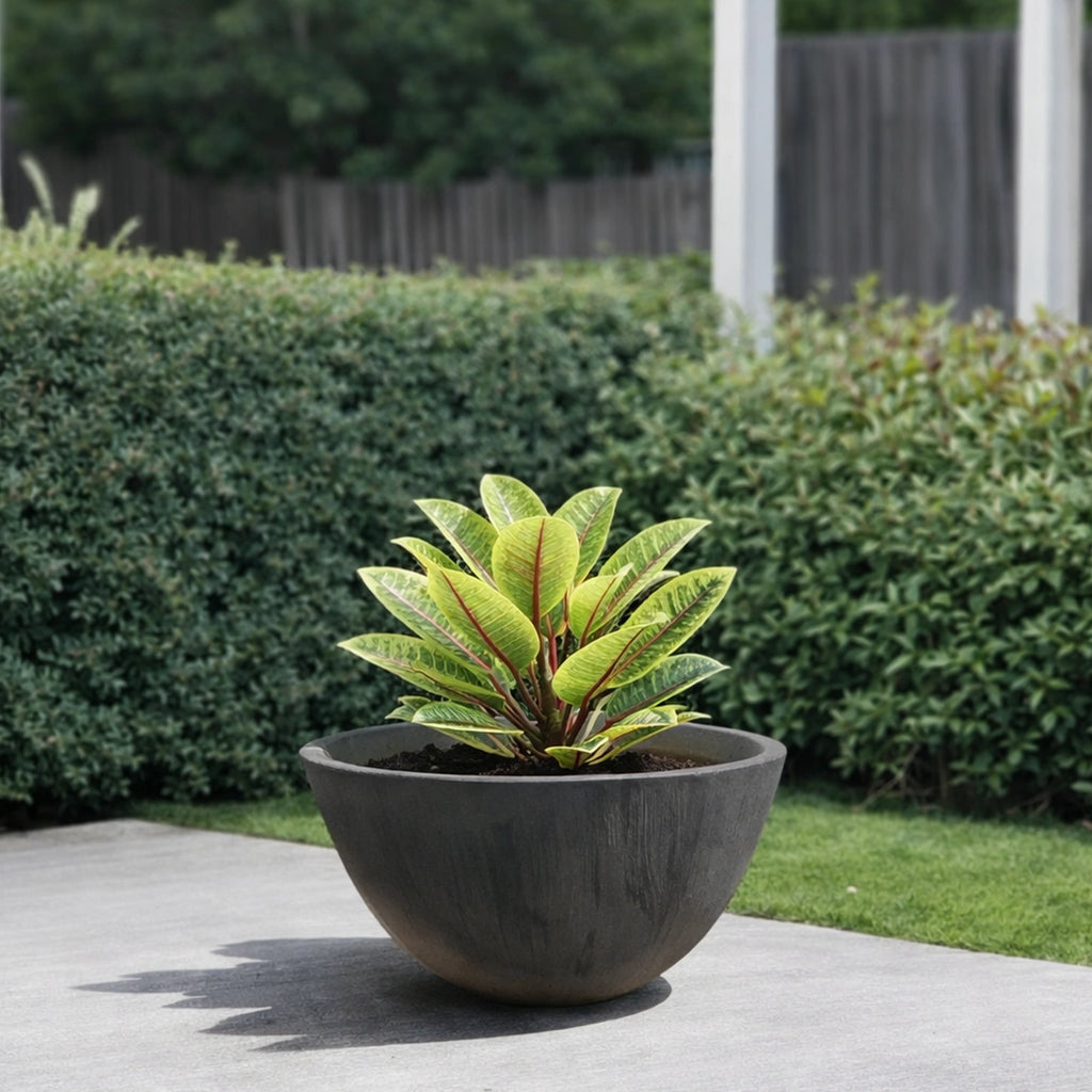 Respect Charcoal 41cm Green Earth Low Bowl Planter – large eco-friendly charcoal low bowl garden planter