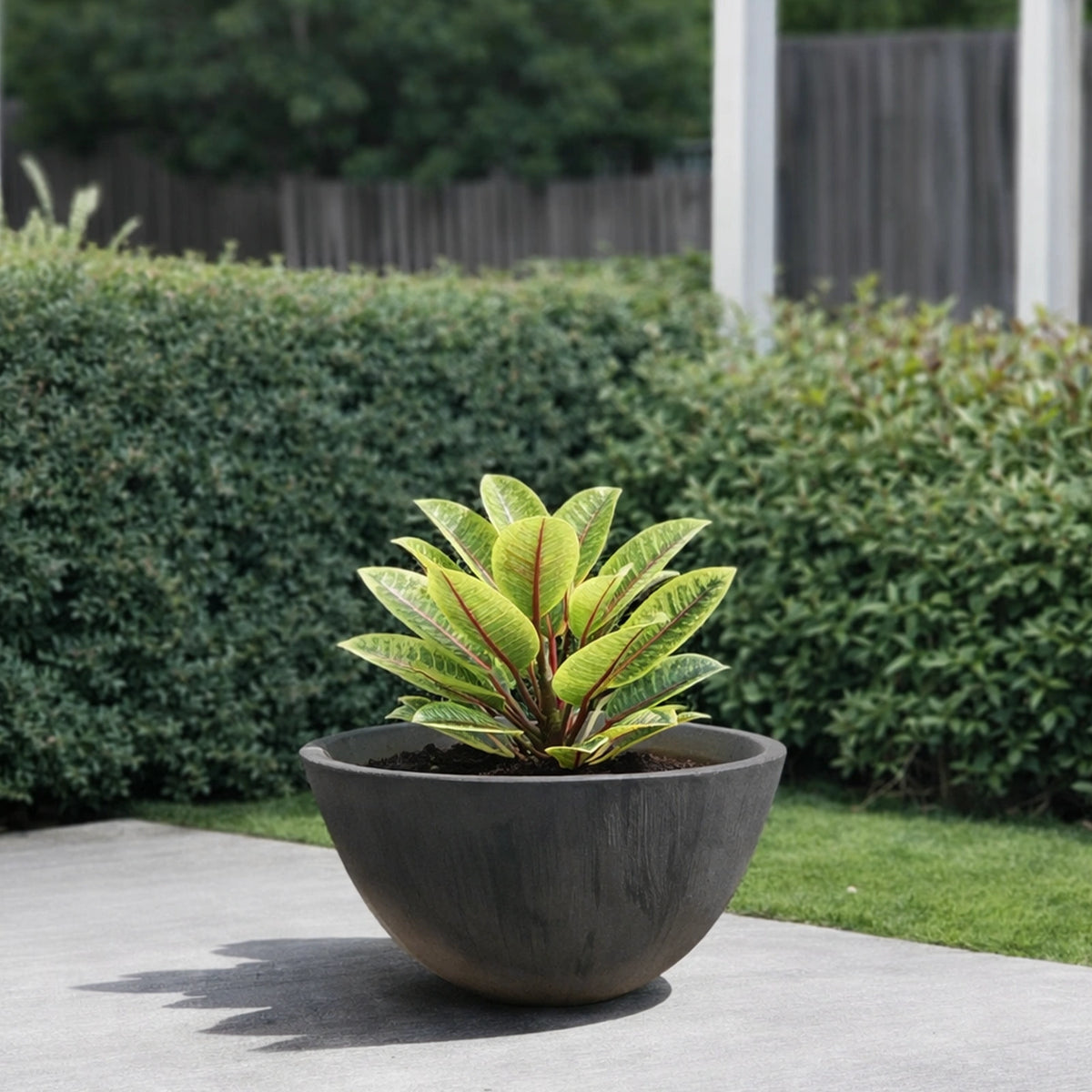 Respect Charcoal 41cm Green Earth Low Bowl Planter – large eco-friendly charcoal low bowl garden planter