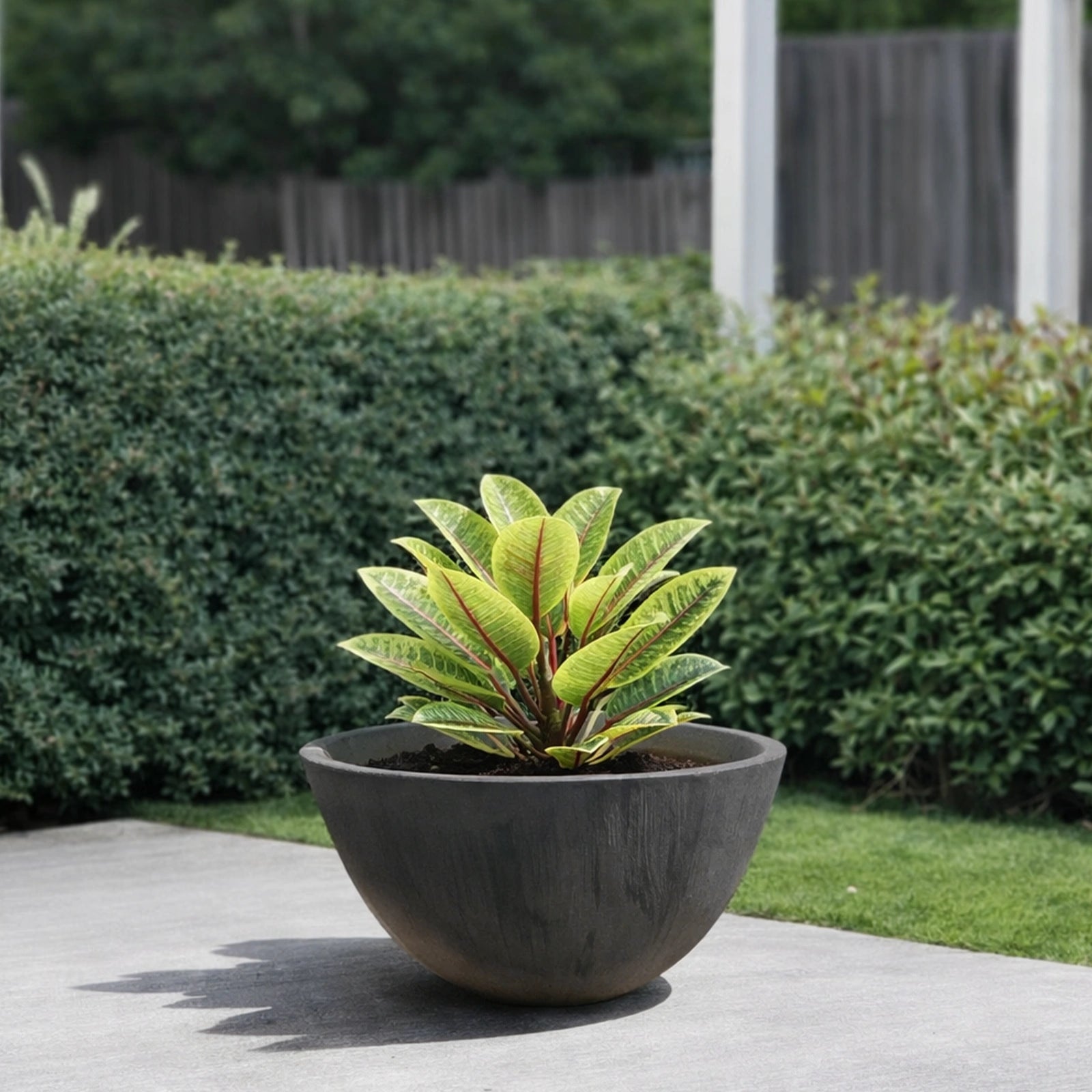 Respect Charcoal 41cm Green Earth Low Bowl Planter
