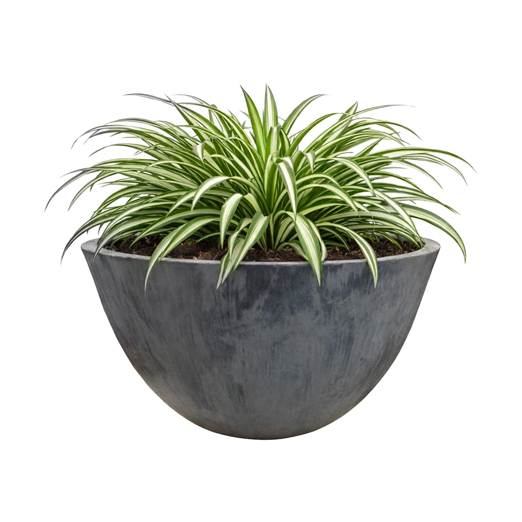 Respect Charcoal 51cm Green Earth Low Bowl Planter – extra large charcoal recycled plastic low bowl outdoor planter