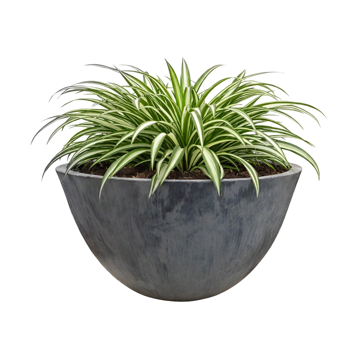 Respect Charcoal 51cm Green Earth Low Bowl Planter – extra large charcoal recycled plastic low bowl outdoor planter