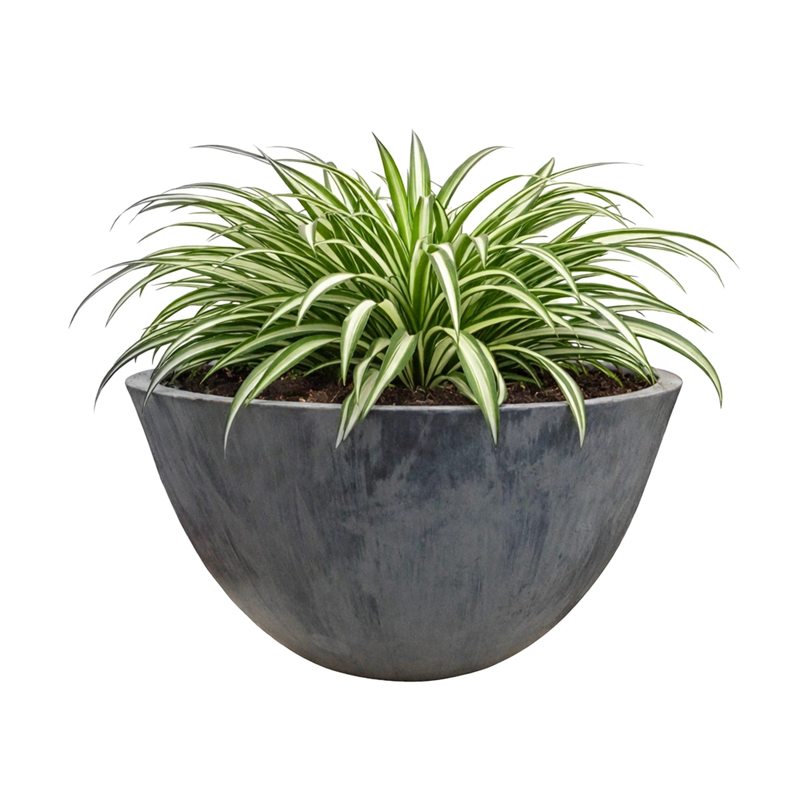 Respect Charcoal 51cm Green Earth Low Bowl Planter
