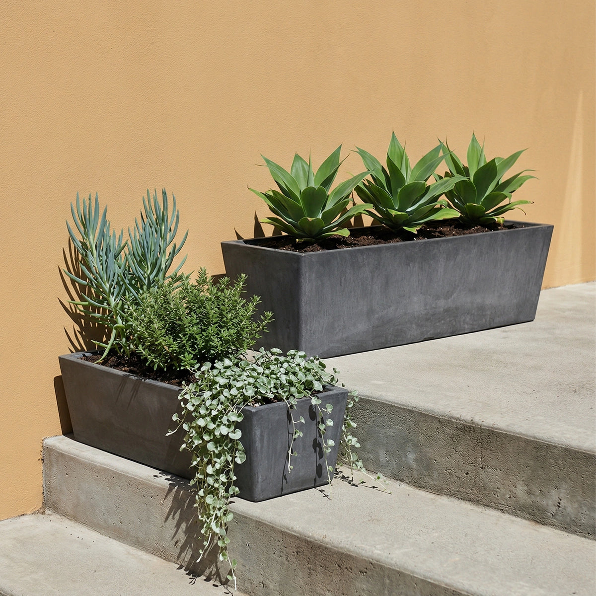Respect Dark-Grey 55cm Green Earth Trough