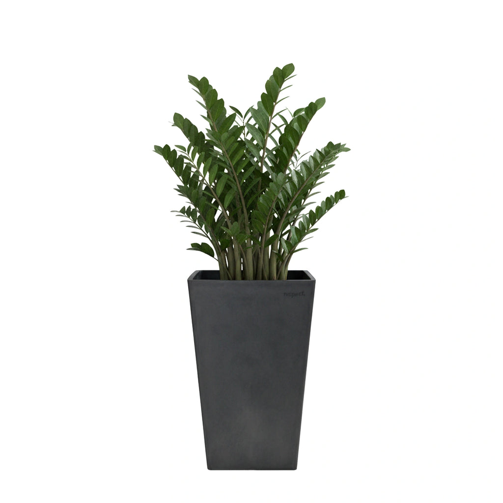 Respect Dark Grey 70cm Green Earth Tall Square Planter – large eco dark grey tall square planter for feature outdoor displays