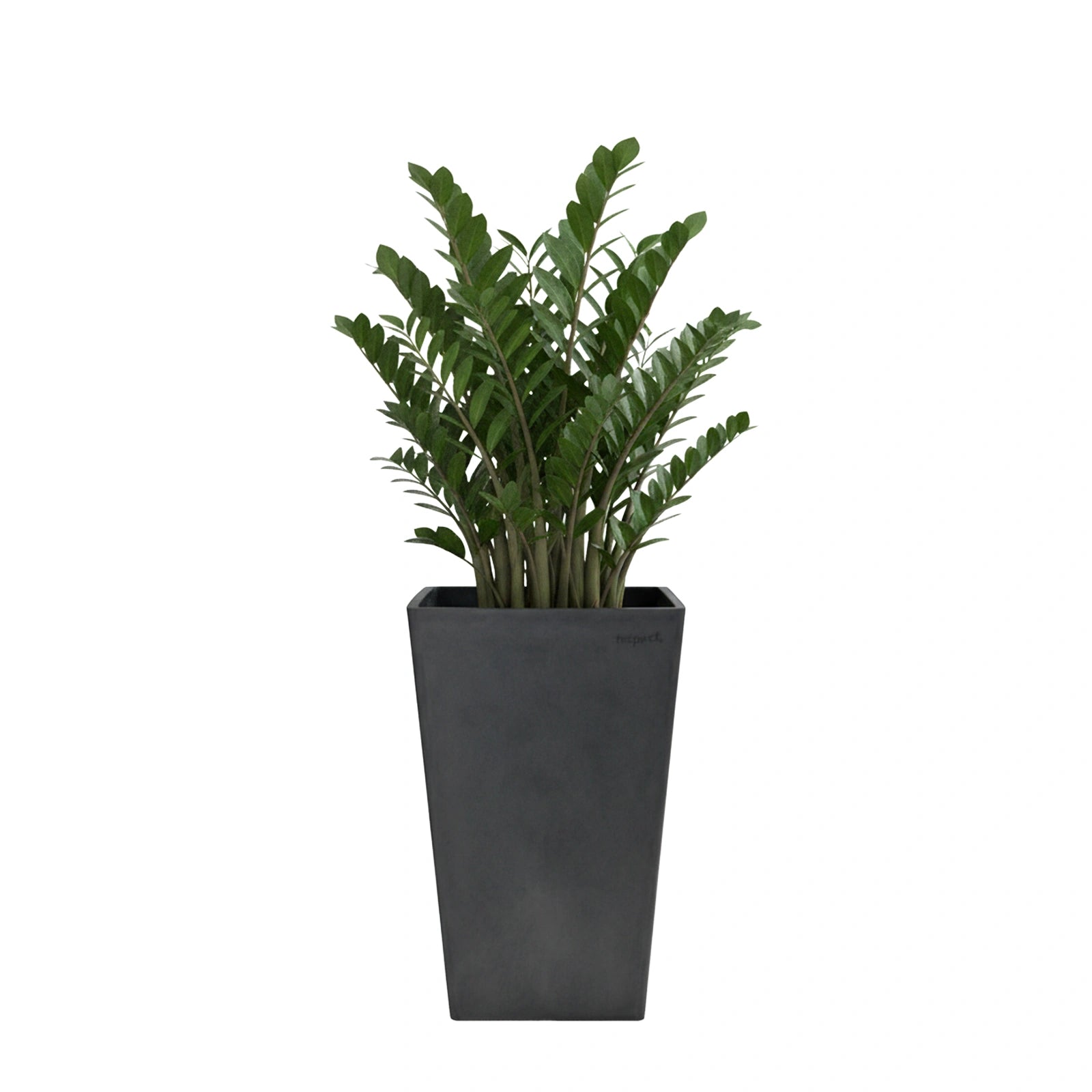 Respect Dark-Grey 70cm Green Earth Tall Square Planter