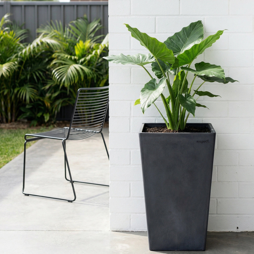 Respect Dark Grey 70cm Green Earth Tall Square Planter – large eco dark grey tall square planter for feature outdoor displays